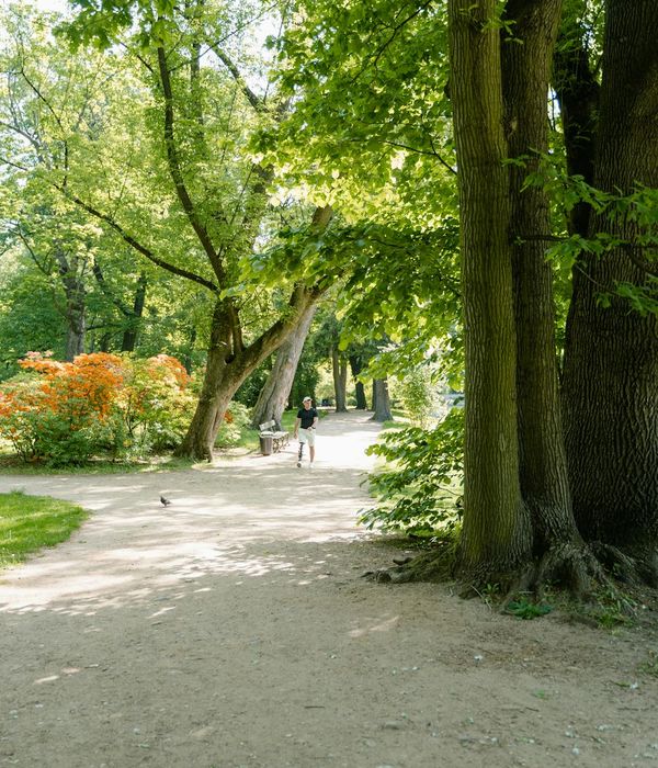 Man performing a controlled strength exercise in a calm environment.